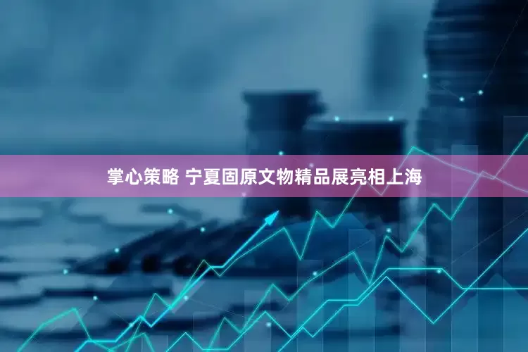 掌心策略 宁夏固原文物精品展亮相上海