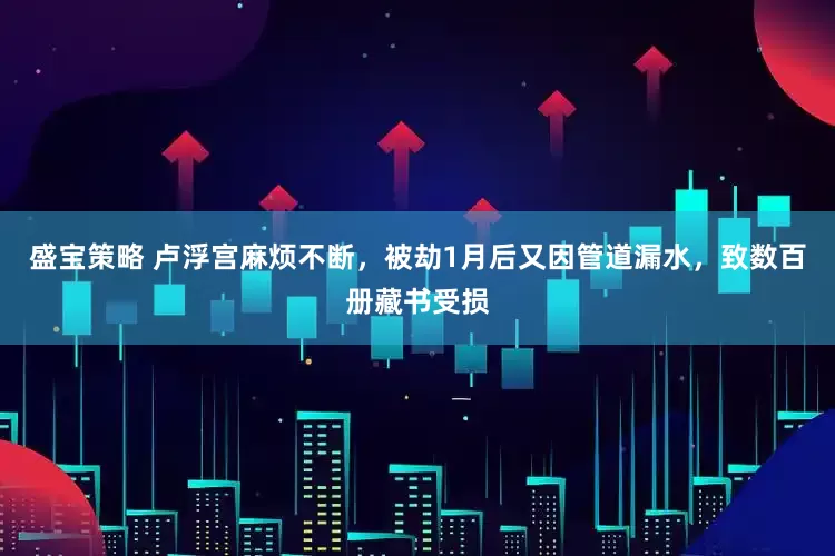盛宝策略 卢浮宫麻烦不断，被劫1月后又因管道漏水，致数百册藏书受损
