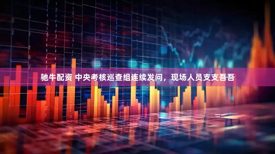 驰牛配资 中央考核巡查组连续发问，现场人员支支吾吾